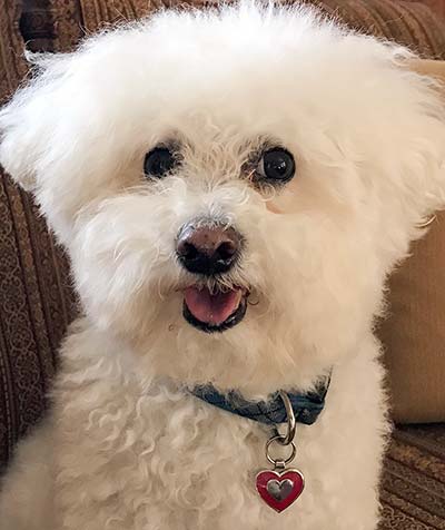 May 2019 Newsletter